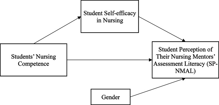 Nursing students' competence and perceived mentor assessment literacy: the mediating role of self-efficacy and gender bias.