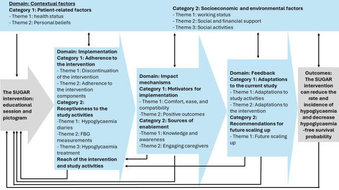The SUGAR handshake intervention to prevent hypoglycaemia in elderly people with type 2 diabetes: process evaluation within a pragmatic randomised controlled trial.