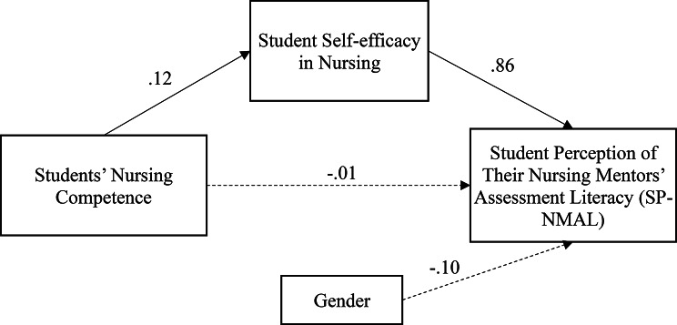 Nursing students' competence and perceived mentor assessment literacy: the mediating role of self-efficacy and gender bias.