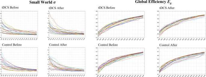 The impact of transcranial direct current stimulation on brain network connectivity and topology in post-stroke cognitive impairment patients: a resting-state fMRI study.