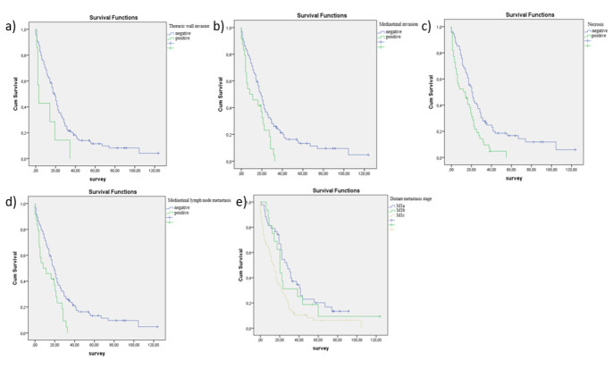 <sup>18</sup>F-FDG PET/CT Parameters and Standard Uptake Values Predicting Contralateral Lung Metastasis in Lung Cancer.