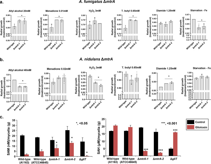 Fungal mitochondria govern both gliotoxin biosynthesis and self-protection.