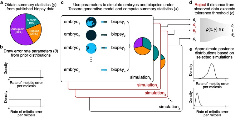 Approximate Bayesian computation supports a high incidence of chromosomal mosaicism in blastocyst-stage human embryos.
