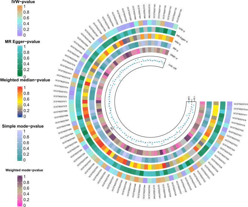 Dissecting the causal association between perturbational responses of human blood cells and ischemic stroke: A Mendelian randomization analysis.