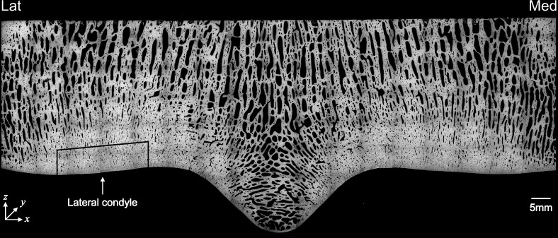Abstract Image