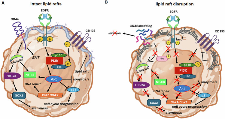 Cut the fat: targeting cholesterol and lipid metabolism in glioblastoma.