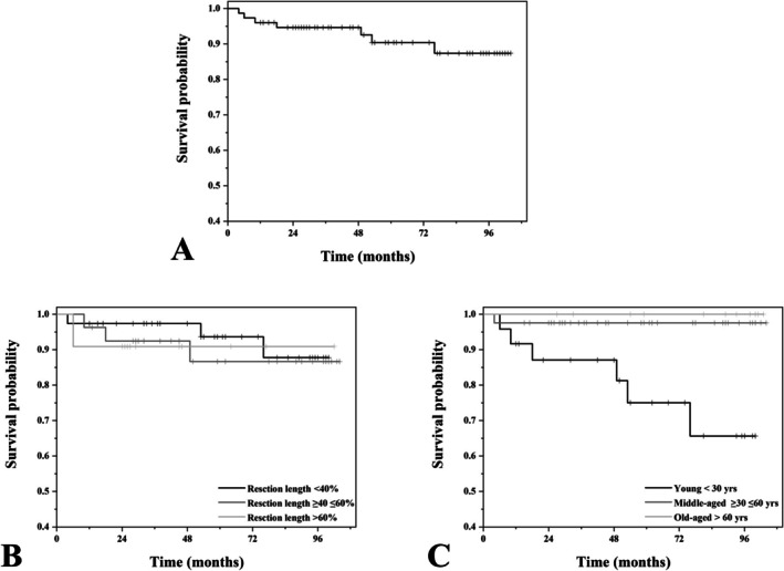 The Survival Rate and Its Influencing Factors of Modular Endoprosthetic Replacement With Uncemented Stem for the Proximal Femur After Primary Tumor Resection.