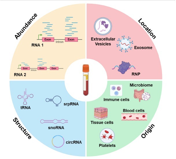 Proceedings of cell-free noncoding RNA biomarker studies in liquid biopsy.