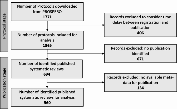 How long does it take to complete and publish a systematic review of animal studies?