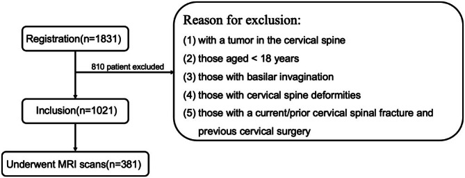 Multivariate Analysis of Risk Factors for Atlantoaxial Osteoarthritis: A Retrospective Cohort Study on Ligament Ossification, Joint Degeneration, and Muscle Fatty Infiltration.
