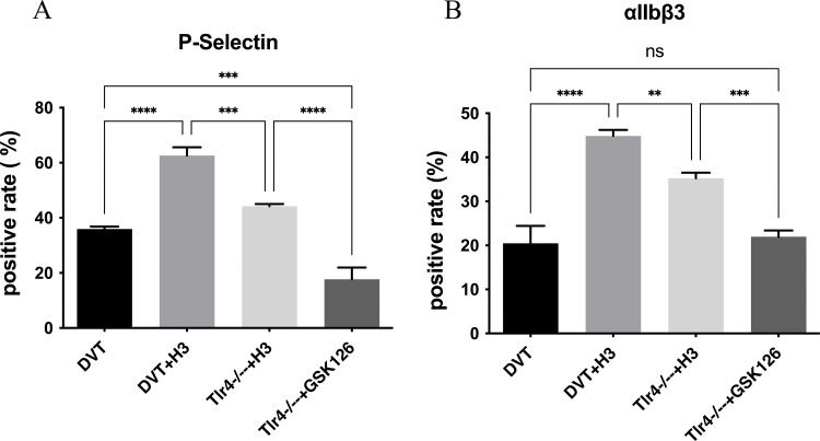 The EZH2 Inhibitor GSK126 Alleviates Thromboinflammation in Deep Vein Thrombosis by Suppressing TLR4 Signaling via H3K27me3 Modulation.
