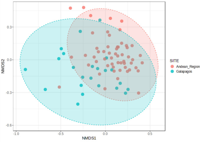 Nutritional Status and Fecal Microbiota in School Children from the Galapagos and the Andean Region.