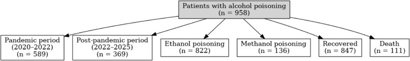Alcohol poisoning, in the shadow of a COVID-19 pandemic: a 5-year review of methanol/ethanol toxicity in Northern Iran.