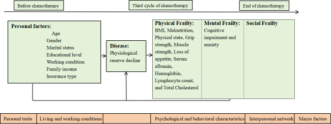 Frailty Trajectories and Influencing Factors in Patients With Non-Hodgkin Lymphoma During Chemotherapy: Protocol for a Longitudinal Mixed Methods Study.