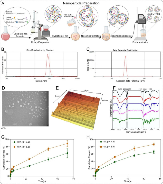Niosome-loaded silibinin and methotrexate for synergistic breast cancer combination chemotherapy: in silico and in vitro study.