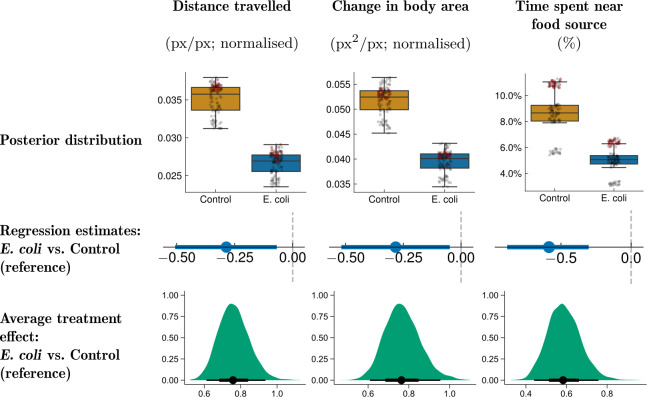 Deep learning from videography as a tool for measuring <i>E. coli</i> infection in poultry.