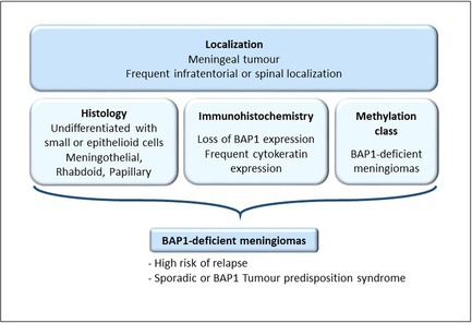 A Specific Methylation Class Identifies BAP1-Deficient Meningiomas, Including Meningeal Tumours With Poorly Differentiated Nonrhabdoid Histology.