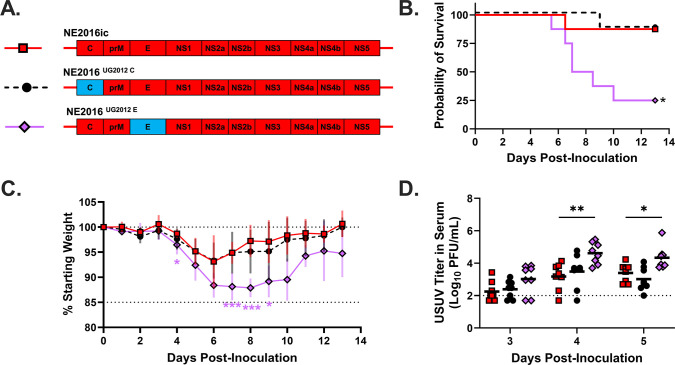 Naturally occurring mutations in envelope mediate virulence of Usutu virus.