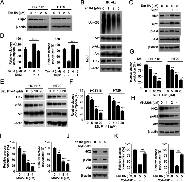 Targeting Skp2 by Tanshinone IIA overcomes chemoresistance in colorectal cancer.