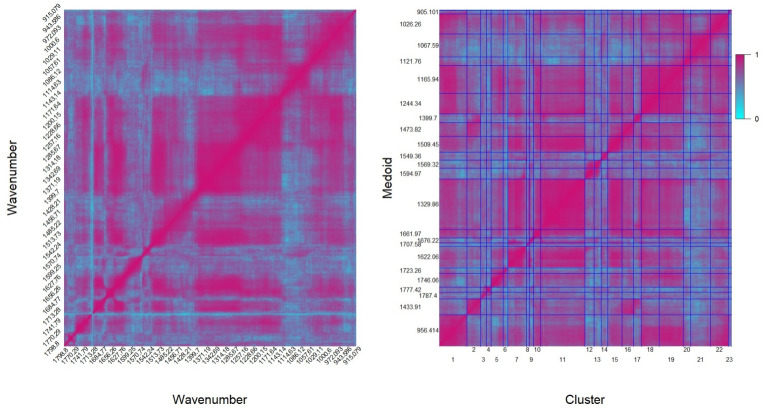 PAM clustering algorithm based on mutual information matrix for ATR-FTIR spectral feature selection and disease diagnosis.