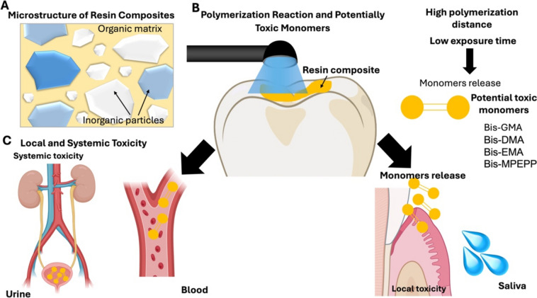Toxicity of resin-matrix composites in a dental clinical setting.