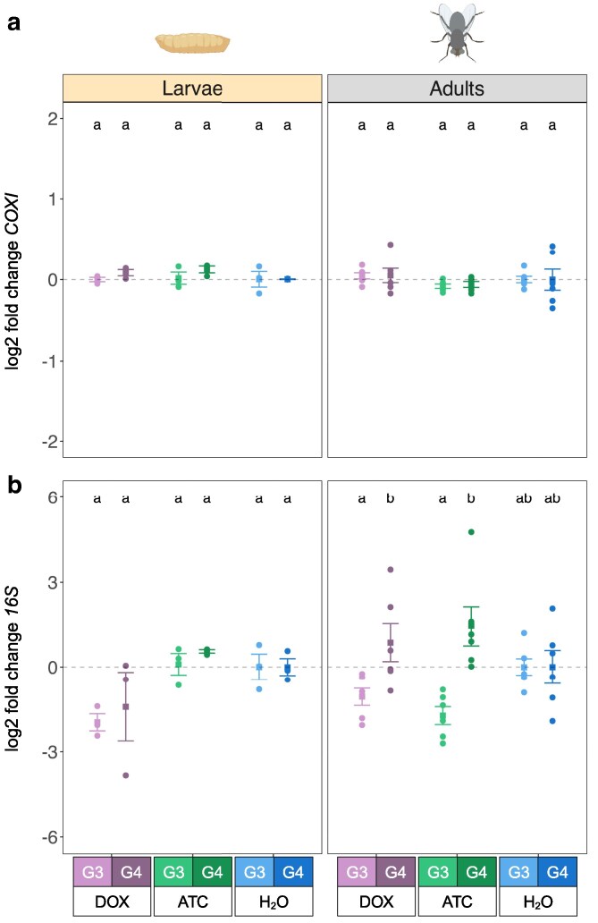 Direct and transgenerational effects of tetracyclines on the microbiome, transcriptome, and male mating behavior of the sheep blowfly Lucilia cuprina.