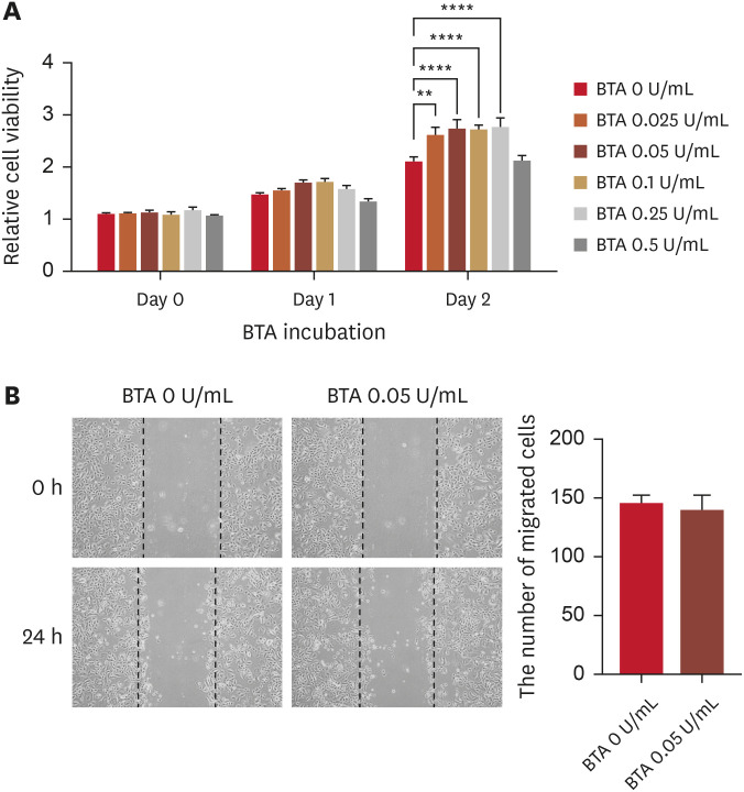 Botulinum Toxin A Modulates Keratinocyte Proliferation and Inflammatory and Pruritic Mediators in Wound Healing.