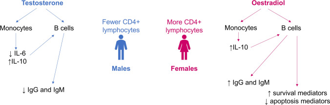 Sex and gender differences in cancer pathogenesis and pharmacology.
