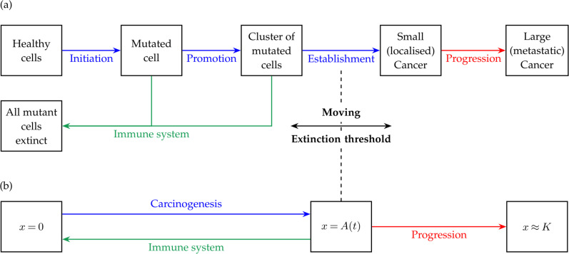 Cancer model with moving extinction threshold reproduces real cancer data.