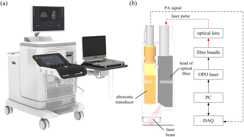 Handheld multispectral photoacoustic imaging for assessing myocardial metabolism.