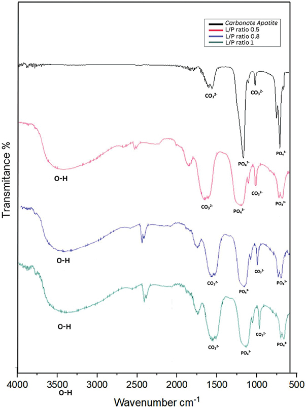 Fabrication and Characterization of Carbonate Apatite-Bovine Gelatin Scaffolds for Endodontic Regeneration: A Lyophilization-Based Approach.