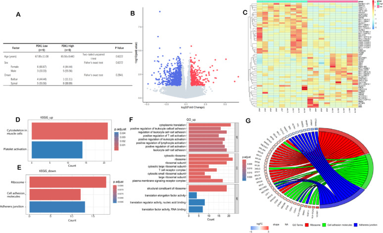Integrated molecular data analysis confirms PDK1 as a candidate risk factor in ALS pathophysiology.