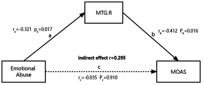 Orbitofrontal functional network: the mediating role between violence and childhood trauma in patients with schizophrenia.
