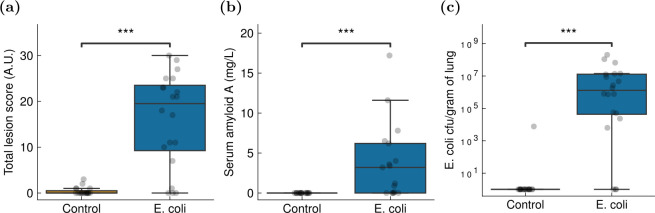 Deep learning from videography as a tool for measuring <i>E. coli</i> infection in poultry.