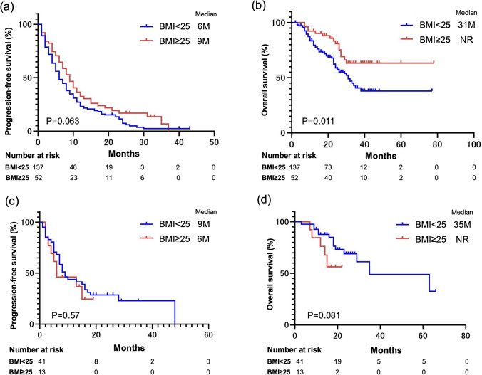 Impact of body mass index on the efficacy of immune combination therapy in metastatic renal cell carcinoma: a multicenter study in Japan.