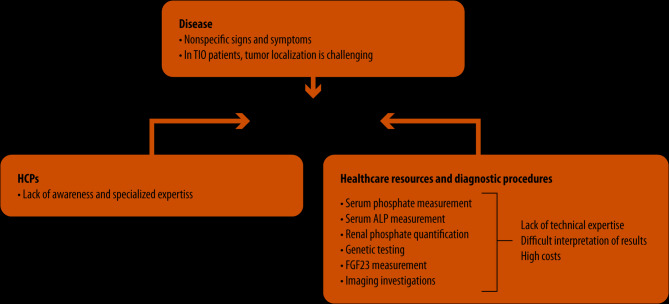 X-linked hypophosphatemia and tumor-induced osteomalacia: a narrative review and expert opinion on the diagnostic and therapeutic challenges in the era of burosumab.