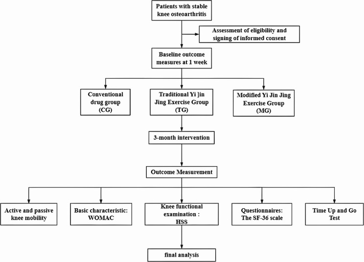 Multiform-based Yi Jin Jing exercise against osteoarthritis of the knee: study protocol for a randomised controlled trial.