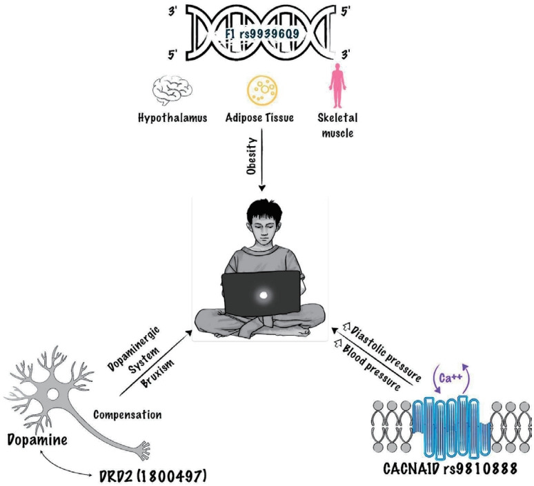 Impact of screen exposure during pediatric ages including multifaceted aggravating factors: a literature review.
