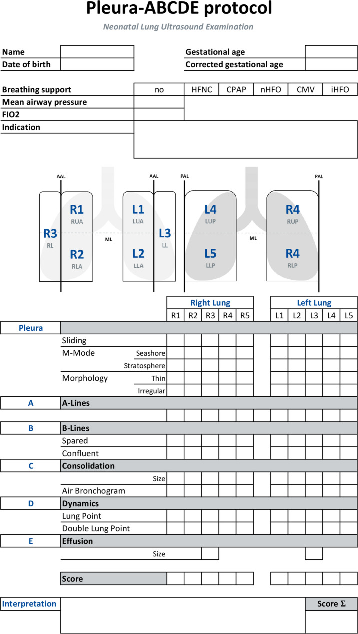 Pleura-ABCDE - a structured expert-based protocol for neonatal lung ultrasound documentation and interpretation.