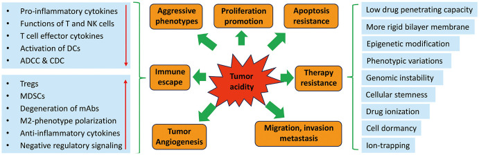 Acidic Tumor Microenvironments and Emerging Therapeutic Strategies for Cancer Therapy.
