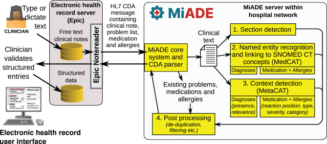 Design and implementation of a natural language processing system at the point of care: MiADE (medical information AI data extractor).