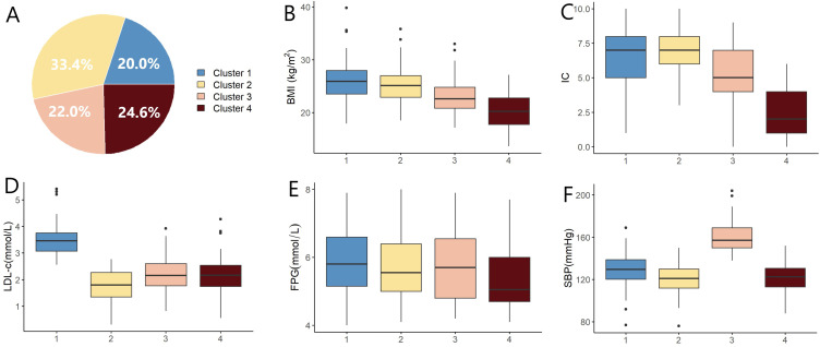 Classification of Elderly Patients with Comorbidities and Their Subtypes: A Data-Driven Cluster Analysis.