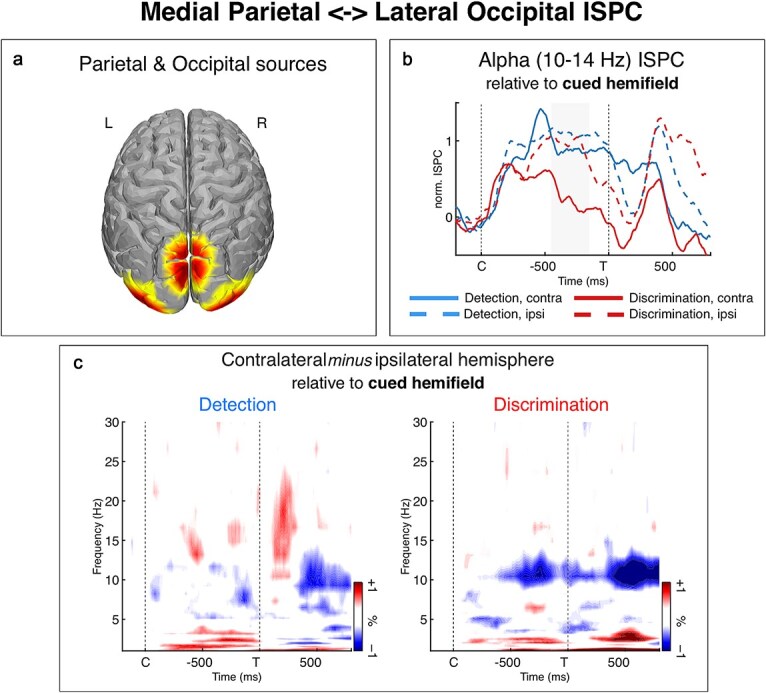 Attention- and action-related oscillatory dynamics in a visuomotor network.