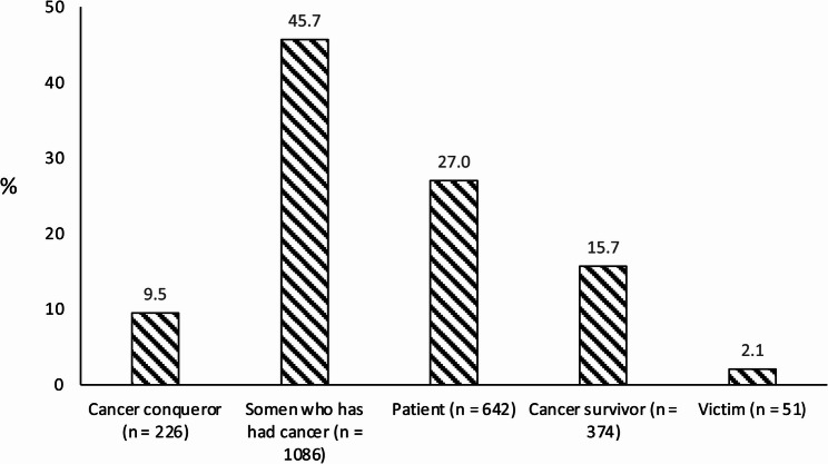 Cancer-related identity and advanced old age - analysis of prostate cancer survivors after radical prostatectomy over the age of 75.