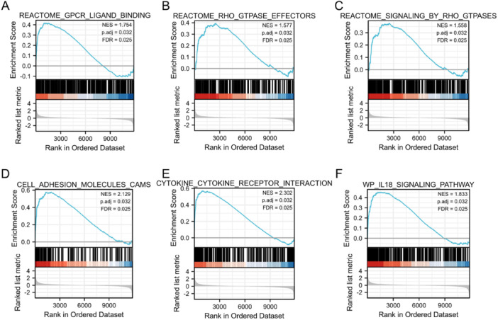 CD40LG as a Biomarker in Rheumatoid Arthritis: Links to Bone Destruction and Interstitial Lung Disease - A Bioinformatic Analysis With Clinical Validation