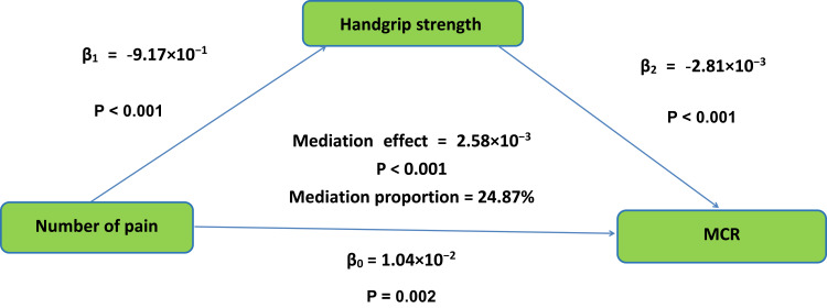Bridging Pain and Motoric Cognitive Risk Syndrome: Mediating Effect of Handgrip Strength.