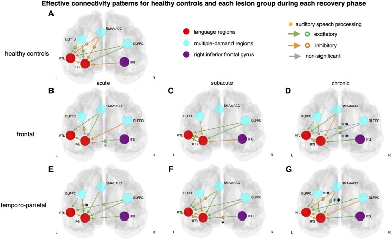 Dynamic reorganization of task-related network interactions in post-stroke aphasia recovery.