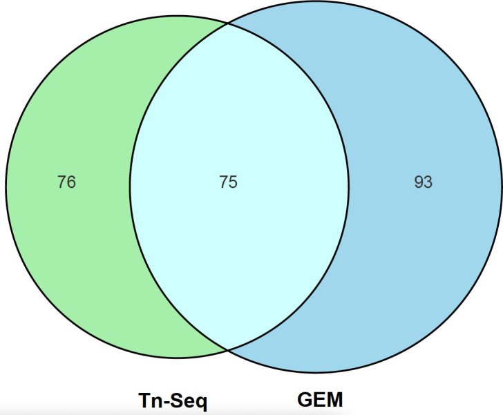 Decoding gene essentiality in <i>Streptococcus suis</i> using Tn-seq and genome-scale metabolic modeling.