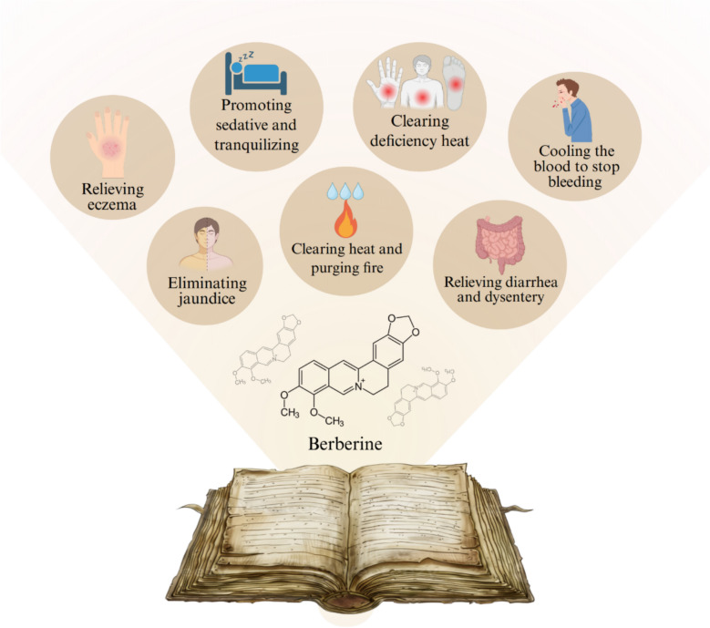 Berberine-based strategies: novel delivery systems bring out new potential for wound healing.