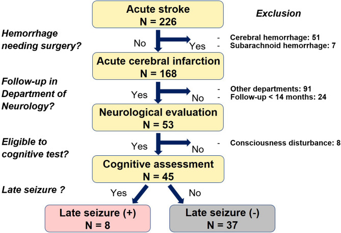 Prediction of late seizures after ischemic stroke using cognitive scores.